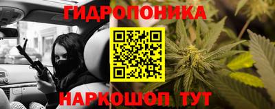 крисы Конаково