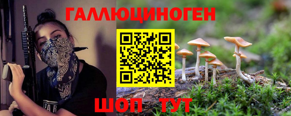 Псилоцибиновые грибы ЛСД Дагестанские Огни